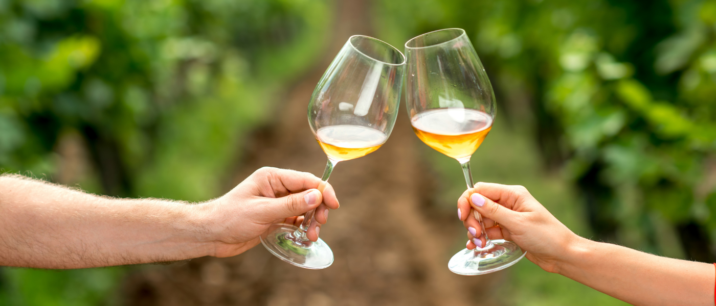 Top 5 Beste alcoholvrije wijnen volgens Hamersma