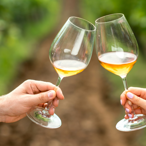 Top 5 Beste alcoholvrije wijnen volgens Hamersma