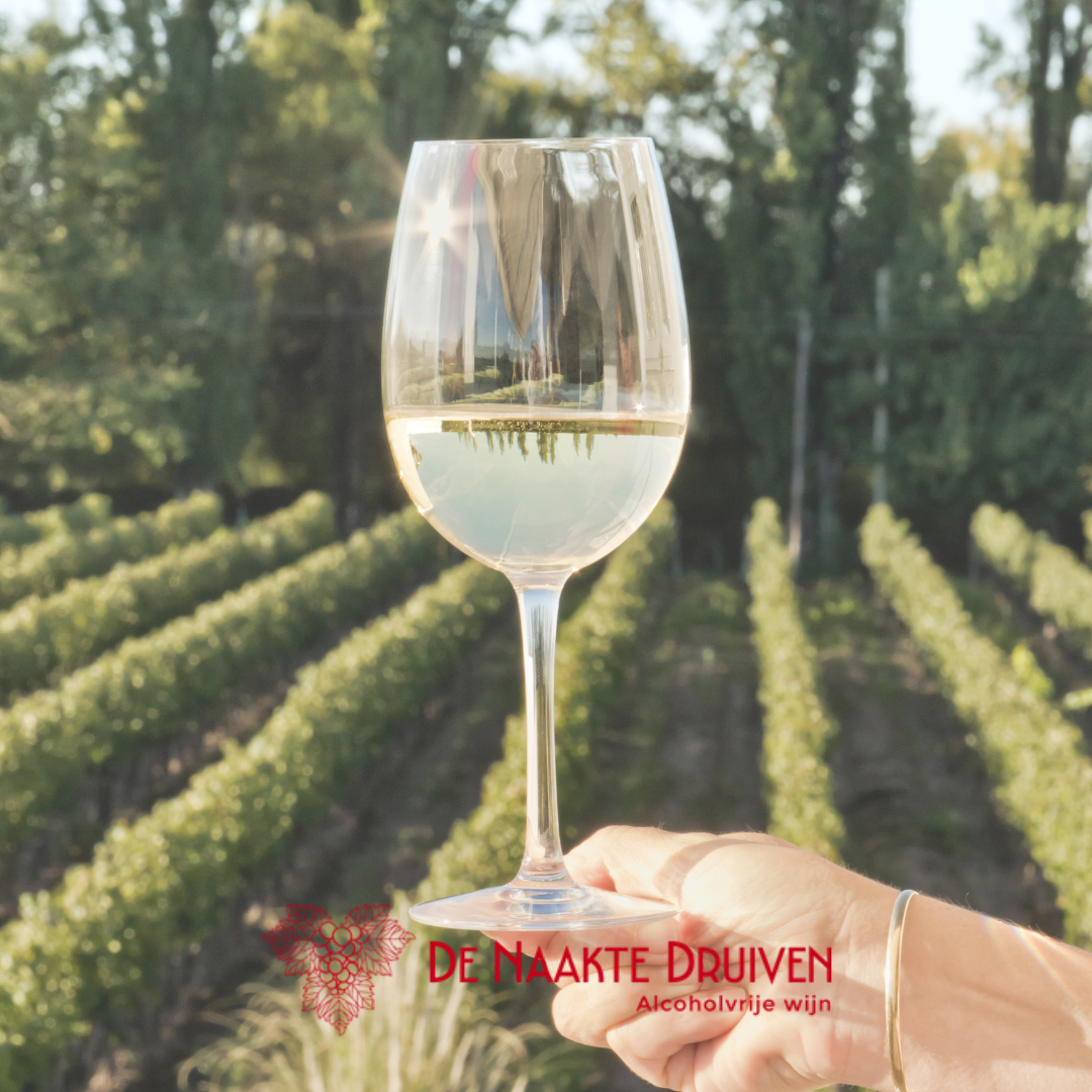 Afbeelding van een fles alcoholvrije wijn van Gustavshof Zero Zero Alkoholfrei & Wild.