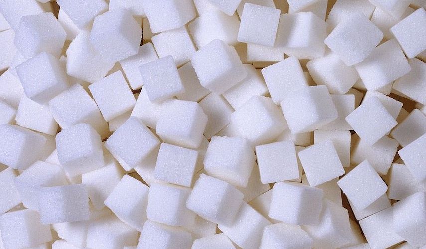 Top 10 alcoholvrije wijnen met het minste suiker in een rij opgesteld