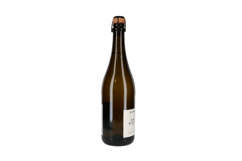 Alcoholvrije Oddbird Blanc de Blancs fles