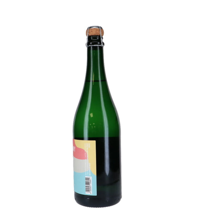 Fles ST. Antony alcoholvrije wijn 75cl